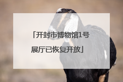开封市博物馆1号展厅已恢复开放
